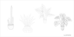 portfolio-ill