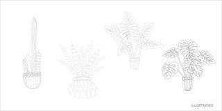 portfolio-ill