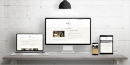 Fem2Business-website