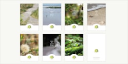 Hartgedragen-Leiders-Kaarten